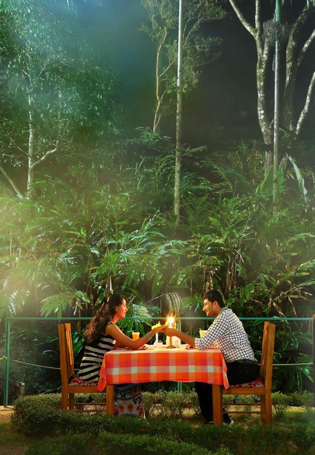 Bed and breakfast Eagle Mountain Munnar Extérieur photo