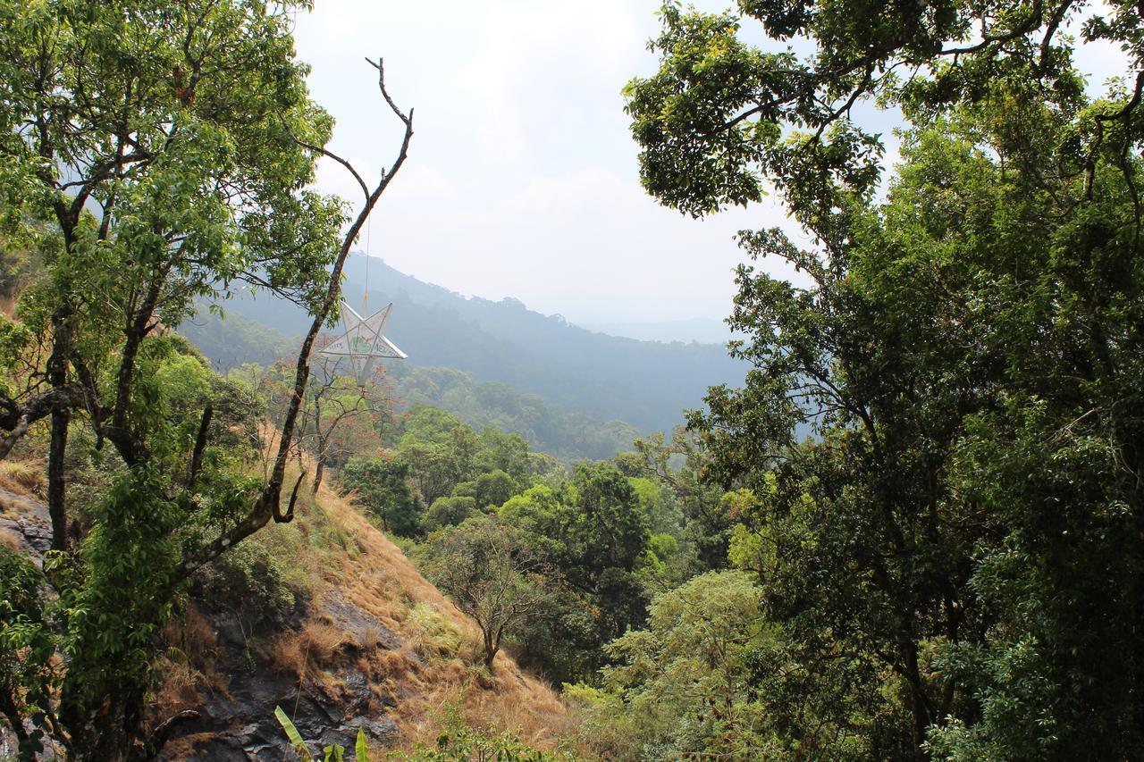 Bed and breakfast Eagle Mountain Munnar Extérieur photo